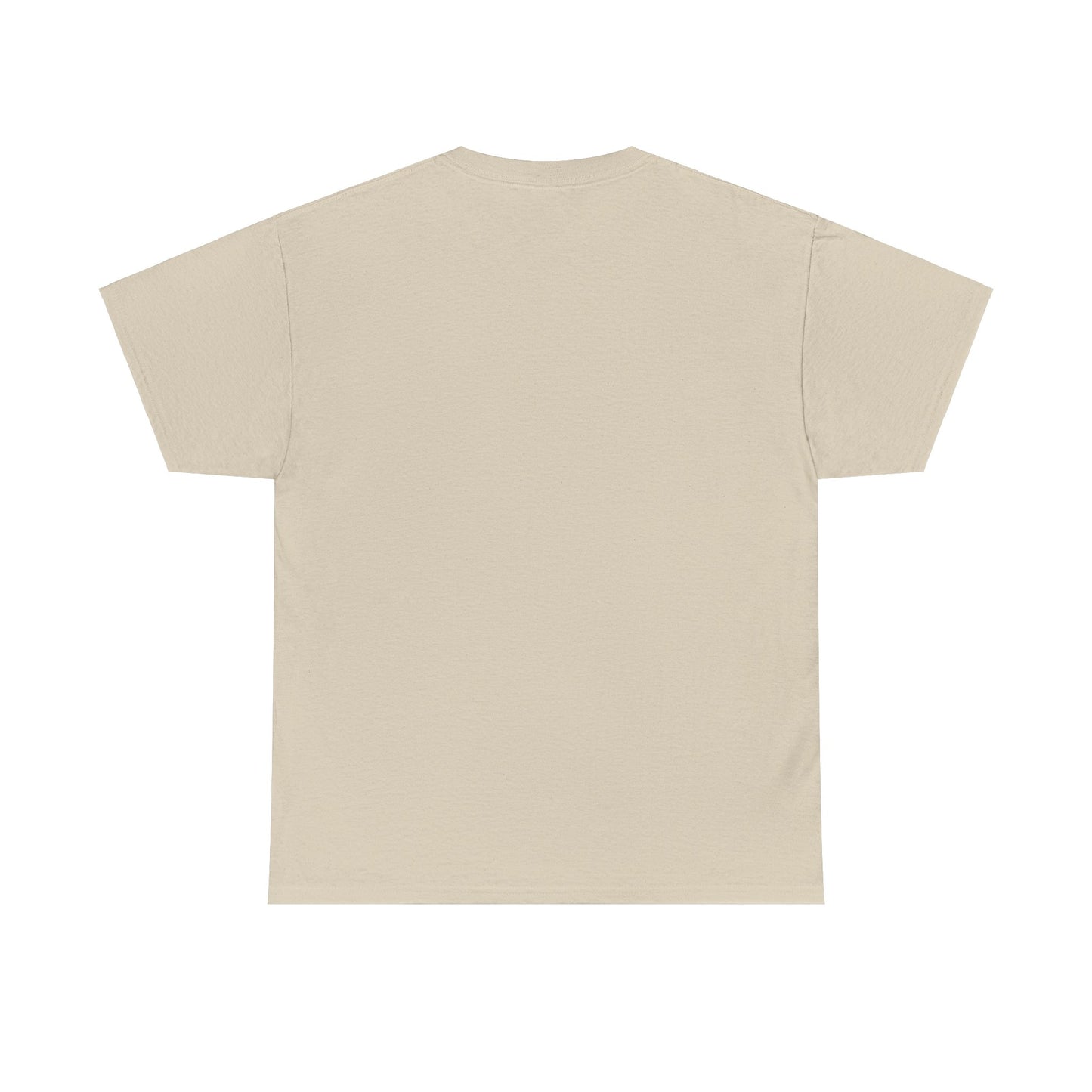 CONFIDENCE (Hebrews 11:1) Heavy Cotton Tee